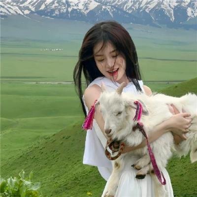 摩根先生最后的爱